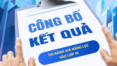 Kết quả thi đánh giá năng lực vào lớp 10 của trường Tiểu học, THCS và THPT Thăng Long