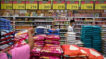 Tinjauan eksport beras Thailand masih tidak menentu.