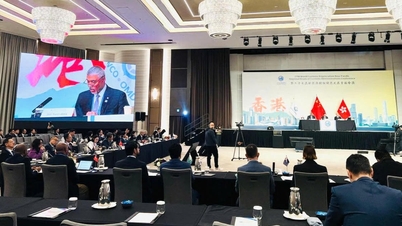 Vietnam Gümrük İdaresi, Dünya Gümrük Örgütü'nün önemli bir konferansına katıldı.