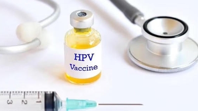 وزارت صحت 1 جولائی 2026 سے HPV کو لازمی ویکسینیشن کی فہرست میں شامل کرے گی۔