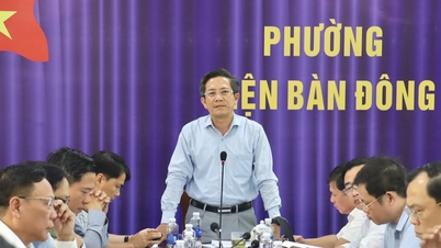 Des mesures urgentes sont nécessaires pour lever les obstacles au marché de Dien Nam Trung.