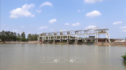 Η διείσδυση αλατότητας μειώνεται σταδιακά προς το τέλος της εβδομάδας.