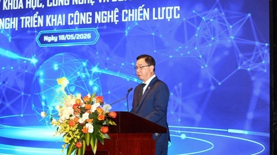 Presidente de ThaiBinh Seed: Las empresas necesitan un mecanismo de entorno de pruebas para crear muchos modelos nuevos.