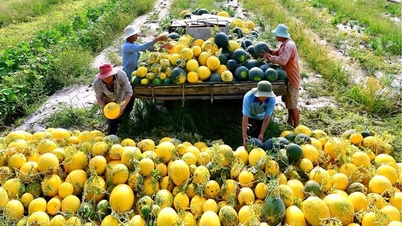 Resumo de notícias da indústria e do comércio, 20 de maio de 2026