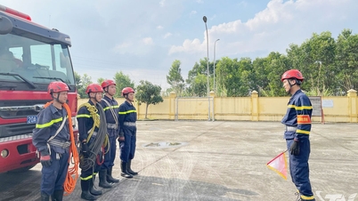 Ανασκόπηση 6μηνης επαγγελματικής εκπαίδευσης σε επιχειρήσεις πυρόσβεσης και διάσωσης.