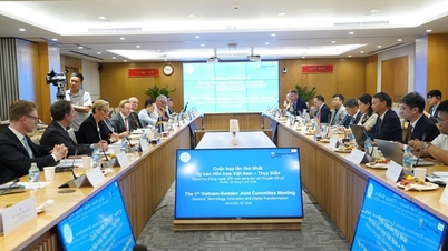 Tăng tốc hợp tác hạ tầng số, năng lượng nguyên tử và nghiên cứu phát triển với Thụy Điển