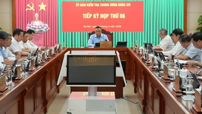 De Centrale Disciplinaire Commissie heeft disciplinaire maatregelen aanbevolen tegen de heer Bui Van Hai, de heer Nguyen Duc Thanh en de heer Diep Van Chien.