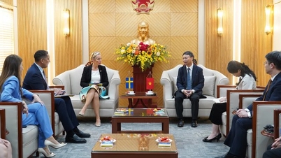 Việt Nam - Thụy Điển thúc đẩy đổi mới sáng tạo và kết nối doanh nghiệp