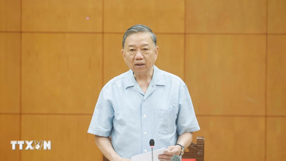 เลขาธิการและประธาน: การพัฒนาระบบนิเวศระดับชาติของการแพทย์แผนโบราณ