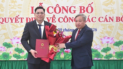 Le juge en chef adjoint du tribunal populaire de Hô Chi Minh-Ville, Phung Van Hai, a été nommé juge en chef du tribunal populaire provincial de Taï Ninh.