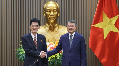 Cultivarea și promovarea continuă a dezvoltării substanțiale și eficiente a relațiilor Vietnam-Coreea de Nord.