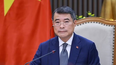 Prim-ministrul Le Minh Hung a propus ca Vietnamul și Noua Zeelandă să se concentreze pe implementarea a șase direcții majore.