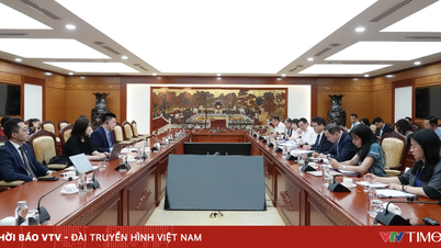 Fitch Ratings gives a positive assessment of Vietnam's economic fundamentals.