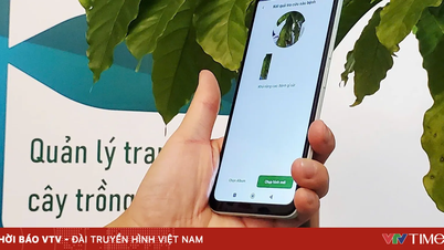 A digitális szerzői jogsértések elleni fellépés: Lehetőség egy tiszta digitális gazdaságra.