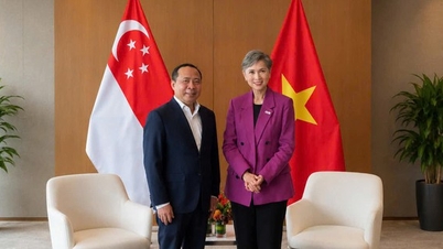 เวียดนามและสิงคโปร์แลกเปลี่ยนความคิดเห็นเกี่ยวกับความร่วมมือในการพัฒนาด้านดิจิทัล การกำกับดูแลด้านปัญญาประดิษฐ์ และโครงสร้างพื้นฐานด้านการเชื่อมต่อ