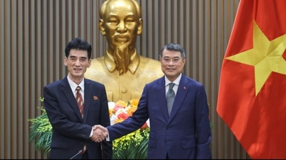 Vietnam desea cultivar y promover una relación sustantiva y eficaz con Corea del Norte.