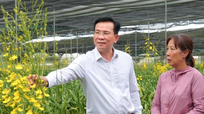 Le président du Comité populaire provincial de Lam Dong, Ho Van Muoi, visite un site modèle de culture d'orchidées à Don Duong.