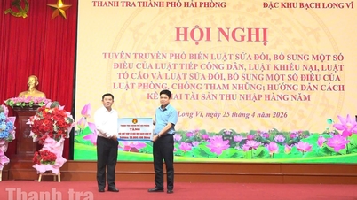 Hai Phongs stadsinspektion: Tillhandahåller stöd i den särskilda ekonomiska zonen Bach Long Vi