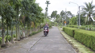 সুন্দর পথের সংখ্যা বৃদ্ধি করুন।