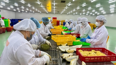 Agricultural exports: Pressures and motivations in the face of SPS technical barriers.