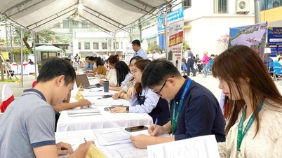 Jobmesse: