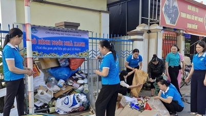 Tworzenie „szklarni” w celu ochrony środowiska w Phu Xuyen.