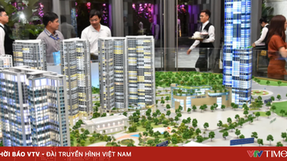 Hanoi anmelder eiendomshandelsgulv.