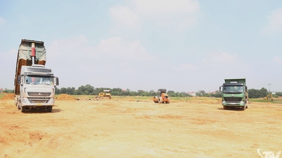 ខាសុនកំពុងឈូសឆាយដីយ៉ាងសកម្មសម្រាប់គម្រោងនានា។