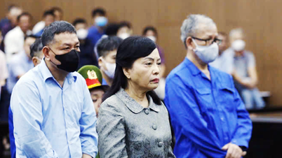 Bayan Nguyen Thi Kim Tien, "ömür boyu süren projesi" ve aldığı "hediyeler" hakkında konuşuyor.
