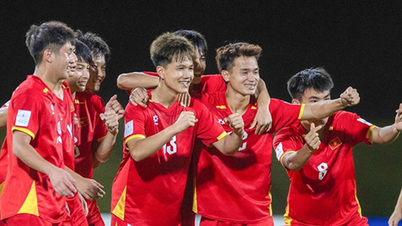 Şok edici: FIFA, Vietnam'ı 17 Yaş Altı Dünya Kupası kura çekimi listesinden çıkardı.