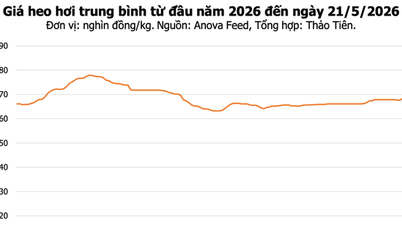 Preços da carne de porco hoje, 21 de maio: Hung Yen e Dong Nai atingem 70.000 VND/kg.