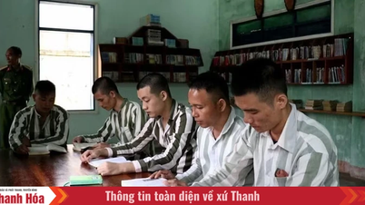 글을 읽고 쓸 줄 모르거나 다시 문맹이 된 수감자들을 위한 문해력 프로그램을 운영하십시오.