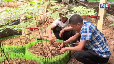 Đẩy mạnh ứng dụng khoa học công nghệ nâng cao giá trị nông sản