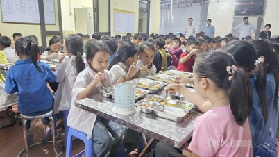 Tuyen Quang recibió y distribuyó cerca de 8.463 toneladas de arroz para apoyar a los estudiantes de zonas desfavorecidas.