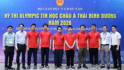 Six étudiants vietnamiens ont remporté des médailles à l'Olympiade d'informatique Asie-Pacifique.