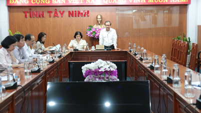 Tay Ninh sedang melaksanakan peraturan mengenai pengurusan dan pembangunan pasaran, dan menetapkan tahap penetapan harga khusus untuk penggunaan ruang jualan di pasaran yang dilaburkan dengan modal negeri.