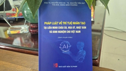 유럽 ​​연합, 미국, 일본의 인공지능 관련 법률과 베트남이 배워야 할 점.
