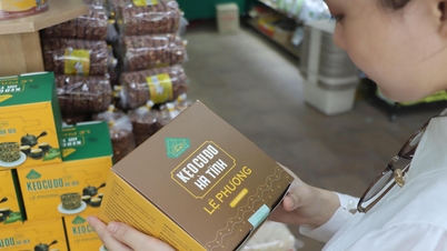 Specialitățile din Ha Tinh sunt pe cale să „inunde” capitala, stimulând conexiunile de consum înainte de sezonul sărbătorilor.
