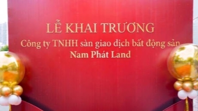 Nam Phat Land officially launches its real estate trading floor in Ninh Binh.
