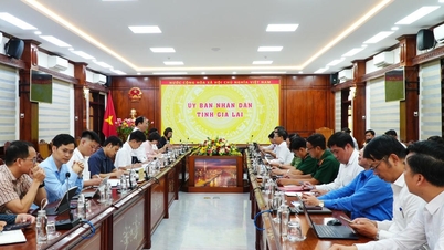 Gia Lai strives to achieve social housing targets ahead of schedule.