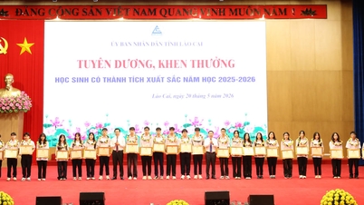 Lao Cai menduduki tempat pertama di kalangan wilayah pergunungan utara dari segi bilangan pelajar yang telah memenangi anugerah peringkat kebangsaan untuk kecemerlangan akademik.