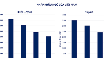 Presiunea de vânzare s-a răspândit, indicele MXV a scăzut cu aproape 1,4%.