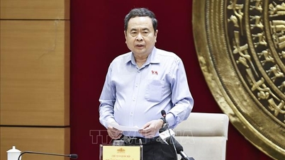 국회의장은 국회 민족위원회 상임위원회와 협력하여 업무를 수행합니다.