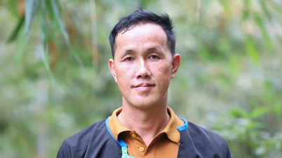 Trồng măng thu bạc triệu, người đàn ông Mông kéo cả bản cùng thoát nghèo