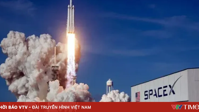 SpaceX presenta oficialmente su solicitud para salir a bolsa: la ambición de Elon Musk de establecerse en Marte ya es oficial.
