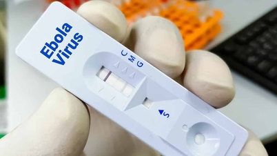 Ho Chi Minh-byen styrker grensekontrollen for å forhindre risikoen for at ebola kommer inn i landet.