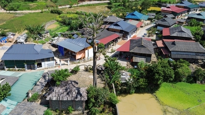 ជនជាតិថៃ ម៉ុង និងឡាហា នៅសើនឡា កំពុងអភិរក្សដើមឈើបេតិកភណ្ឌ ដើម្បីអភិវឌ្ឍវិស័យទេសចរណ៍។