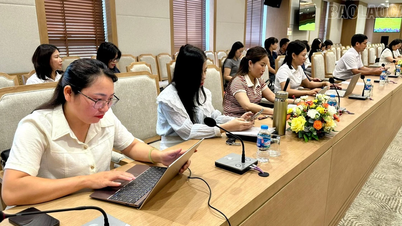 Lao Cai conducts training on the management and use of foreign aid funds.