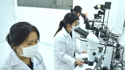 TP.HCM tính chuyện giữ người tài bằng cả hệ sinh thái