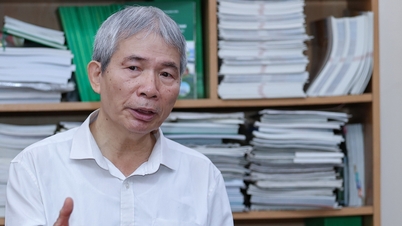 베트남 목재 산업과 '낮은 이윤을 위한 노동'의 함정.